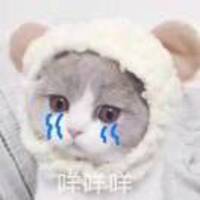 9dd2c607241fb2efb1bf585b03186342687aeb1f