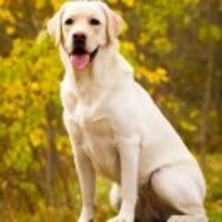 E2faca501e00f0d0487f05dde48e9e484d33dac0