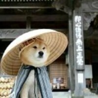 D31175d94f86a3063413d1b01dc8c9b550283d19