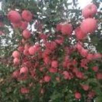 E9e15f2bae9b91bb4450cb31791beabe2798f211