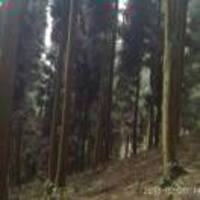 E239856e27411948f5a91c63882d1c449406dff3