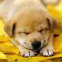 80c71918b9c5b42a90188abf1601df0eef42f319