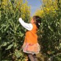 119106c01de34d3909e12dfc06b658e19f7b2229