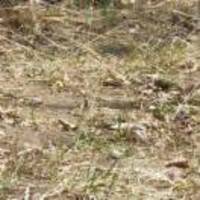 Aab093b5e8dede4dde2444bbdad97e80f5dfc9ef