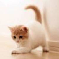 8229a505a97c69228ab063e9f214f3547ebb6acf