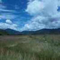 8857f4c3616d22cbf9ce6c7c002d67548fc2c0e0