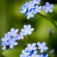 99f26b6d8e8ca42c6cb85dbaa90035808b64a8e2