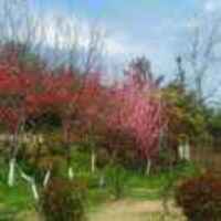 52025fa2f702cdfd60238c2a82ed1b2831b61b1f