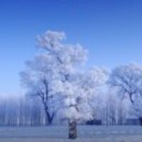 A2cf417250fa550f0a3e34498a1c86072a8fdf87