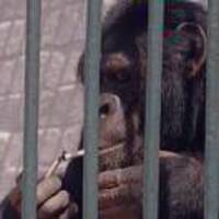 Dfacc4eaa746ad48da8db114992a3c883aaab21e