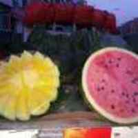 9f31b725832701a5a00f96e65805c46173afa917