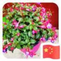 1cf5c606312605530c41505b2ea9478ef67d5c6d