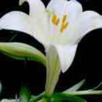 Be3b6946affee4aa67dcdb5df51c3016e71c4eb2