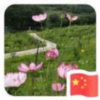 92c79a3a8e739a1c8369389573488631028bc340