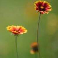 763864c0080a7334bacbcaef101b5e963f66a4fd