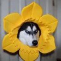 F8175921702f3ef9ae27c0075b3ed9cdb389eb25