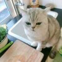 62d4ea51e0c6017b16005181cc4efe5e81c69a1e