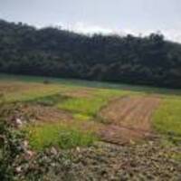 Cee956e87d5f71b2656b25a795ec79d4ca0910e3