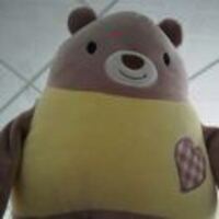 E55924af56164fa460eda215e4ef677a72d16dfe