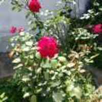 5be63f7eedc5d92bc6c454819db7284484439a8b