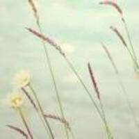 58772e3789bec4bb782e0667658a732735c109f0