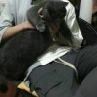 0314745b6060506ad8f4e58d60f2a1592227e64c