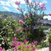 78230b3cbb1350abc2e6849e42df34e7ab6865a7