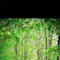 Fdcbd4c07ee9f703ffaae1851803a2ac9f6b3a4b