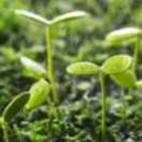 E3d71eb9aecfe0d912afbcf916f02c0c121871ea