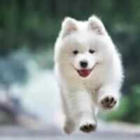 2e328c71f4685a1a5a0c8ea96ba9a90ac68e76c0