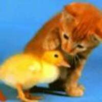 Aaba48159f4617a7d374dc60f59a3efb06ab0487