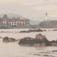 B5f880e43334371487904052ee9436ca8e679739