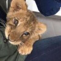 1efeb3a0ba47cb5be10f510c9dab6884794674b8