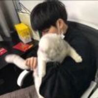 7f488c5495cadc144e65131728d368767d019c01