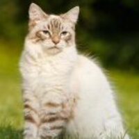 4765f585cacefb5d5ec044a0b965e38b3e3b51e6