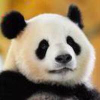 Cedbc707e1548107b487ca5853900f15c15aa728