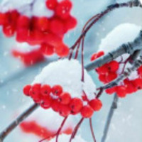 63a7dbe78d57ee139b69b534ae751009408c22b7