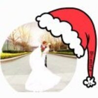 68b8283823a2995a8b5f464547761e8a65c3e943