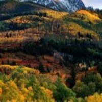 1fde2b5aea6300c01e8f0159228039cd470c4c3a