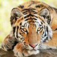 98d39efaf456dd79ec07231aa2dd7686c4b7d7d1