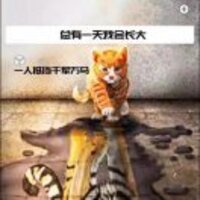 8950f41bf219f1125eab6a54d05b7cd57d6fa641