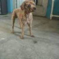 1a8b5e5942838624852f08c65ec7dc5b21231bc6