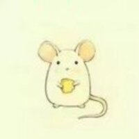 Fed3988089aa97cce776580899496ab4b16c5dba