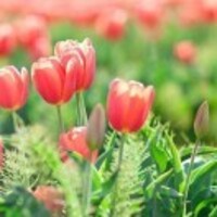 487ee166242bff07f6b1bcf2efe90bf6be0068f4