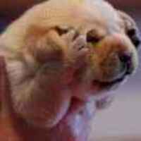 Fc77f151295661de392adceed22a7ed17f51621e