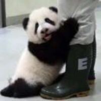 E37d26d9ec4a1c753c60f0a836a945a3a3e8b33b