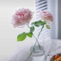 491b688eb4a0004c65ec4c2c1f388edb4e236280