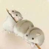 43824b125efef3e267528611aff98ef4214a09a5