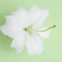 Bbf553ad949523788c5159d62c5a4a0cb7c5640f