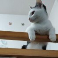 Fb78ef144577dfe7e00d9e77eefe85a5e3cff42f